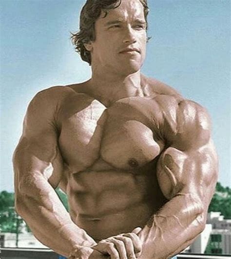 arnold schwarzenegger bodybuilding years